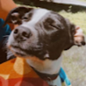 Meet your Posher, Addalyn